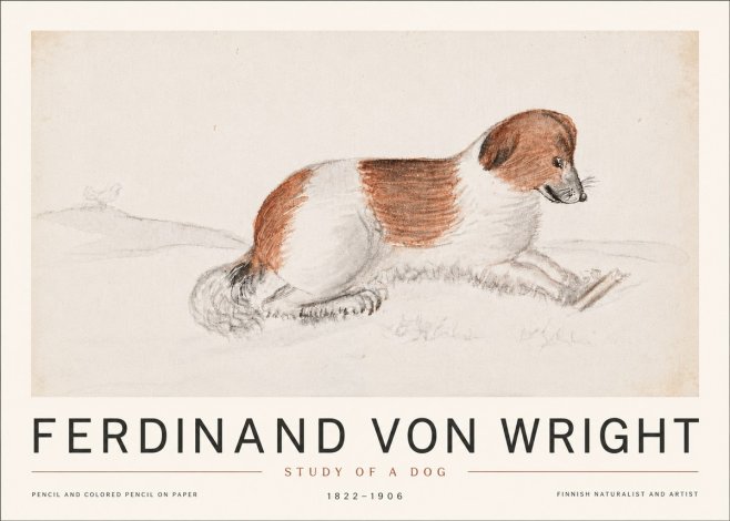 Ferdinand von Wright Study of a Dog No6 - Affiche
