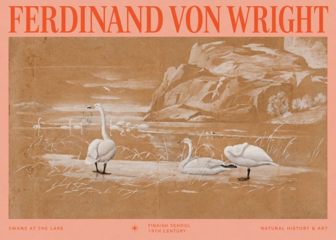 Ferdinand von Wright Swans at the Lake No2 - Affiche