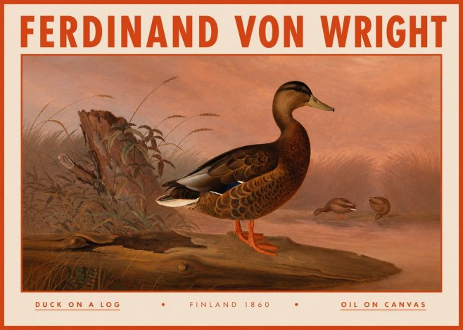 Ferdinand von Wright Wild Duck No5 - Affiche