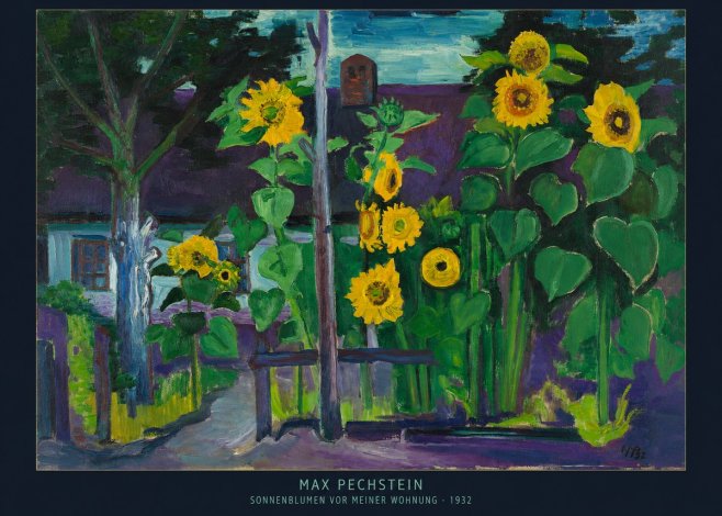 Max Pechstein Sonnenblumen Vor Meiner Wohnung No6 - Affiche