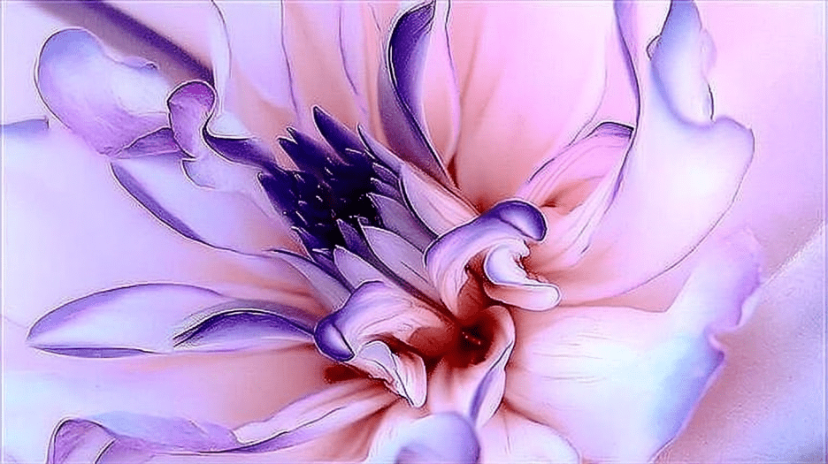 Petal Swirl