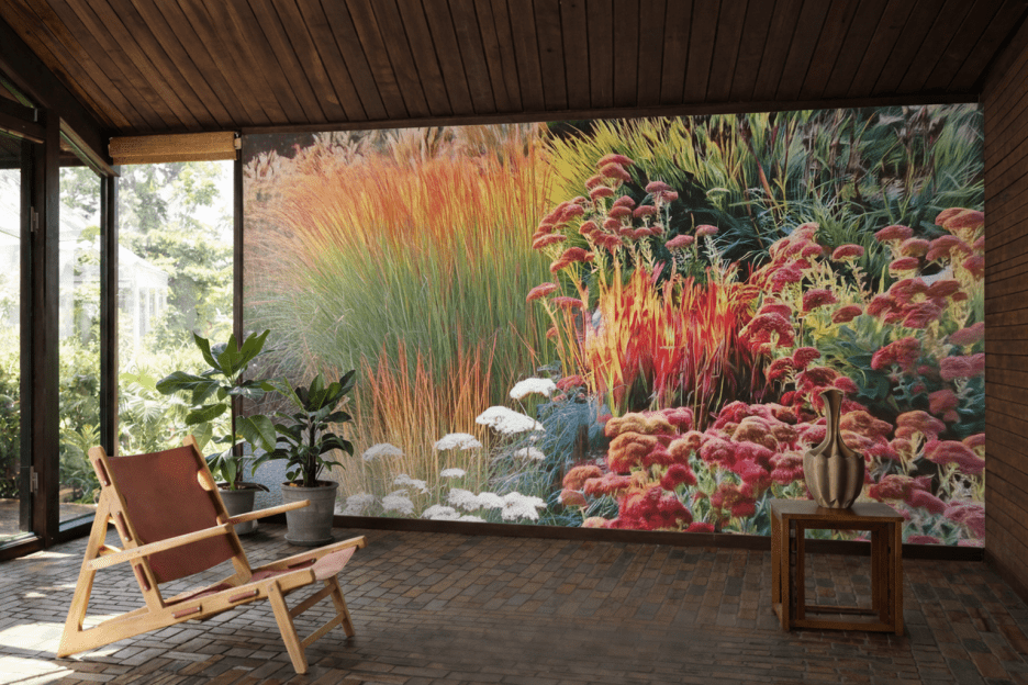 Crimson Grasses