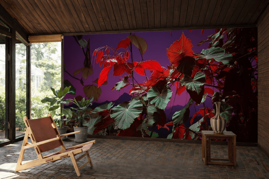 Crimson Canopy