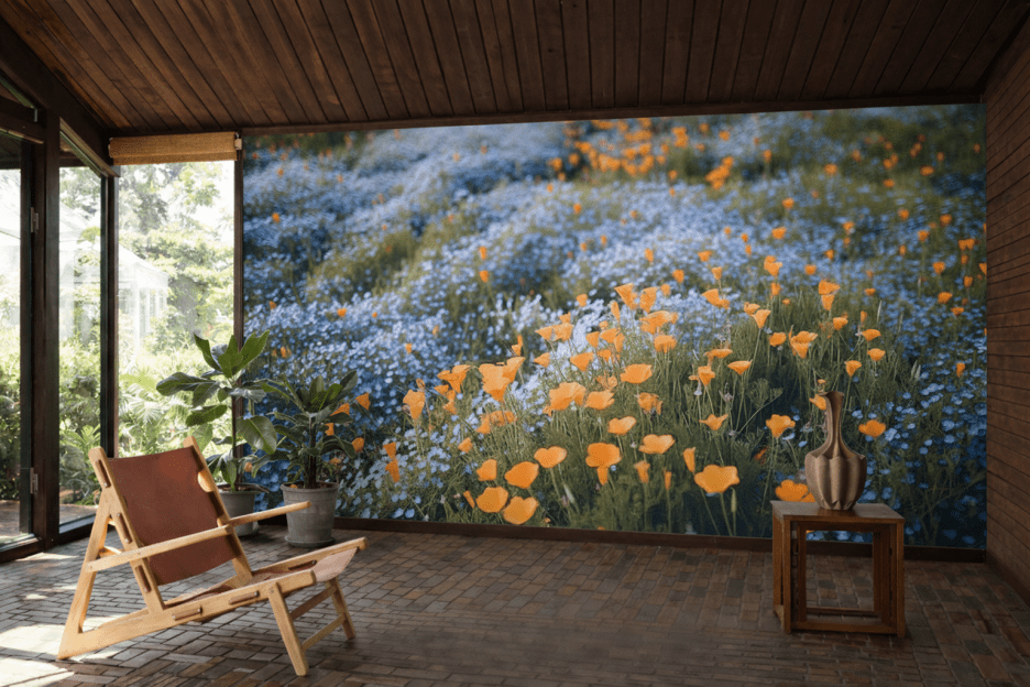Wisping Poppy Fields