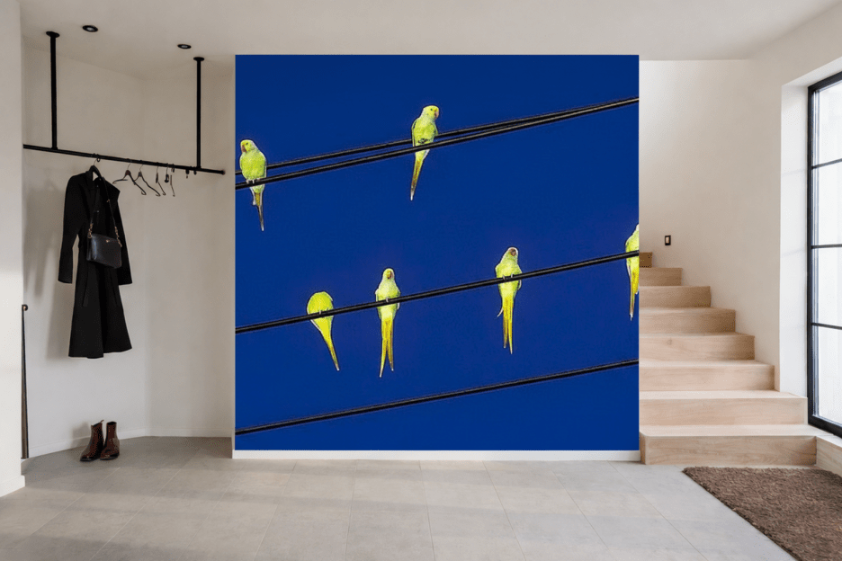 Wire Canopy Flock