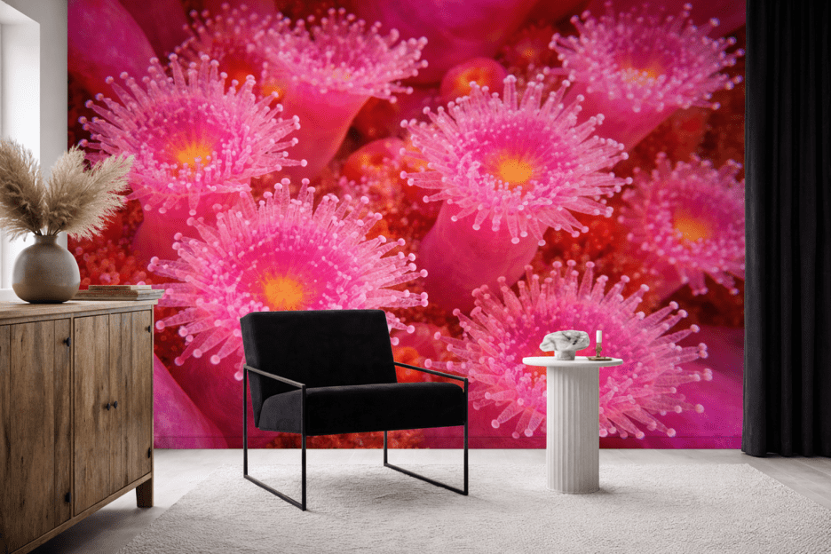 Halo Coral Blooms