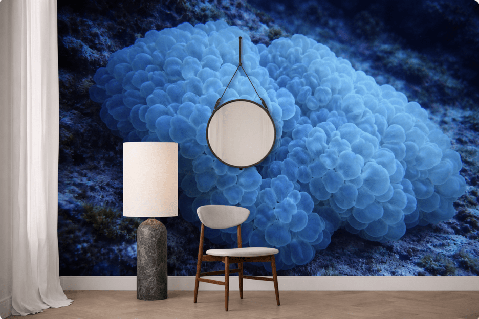 Glacial Bloom