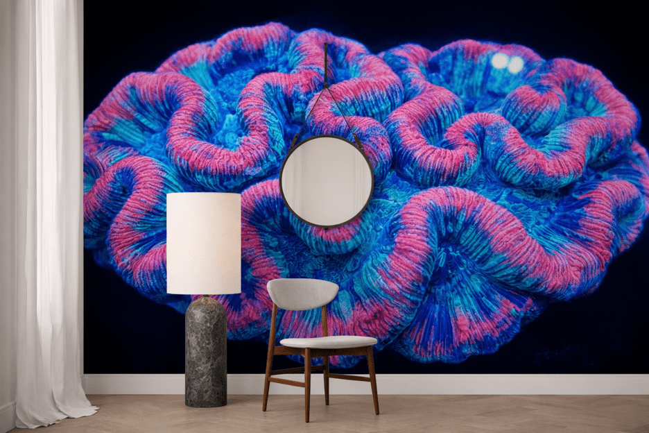 Twilight Coral Texture