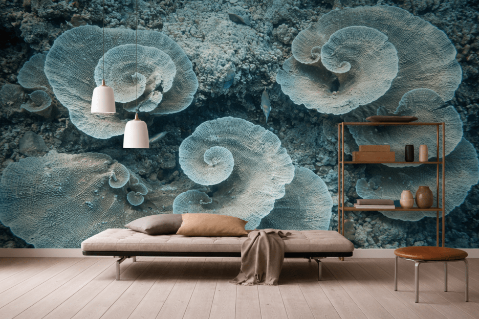 Whirlpool Reverie