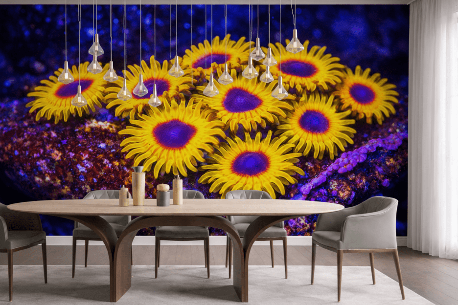 Sunfire Oasis