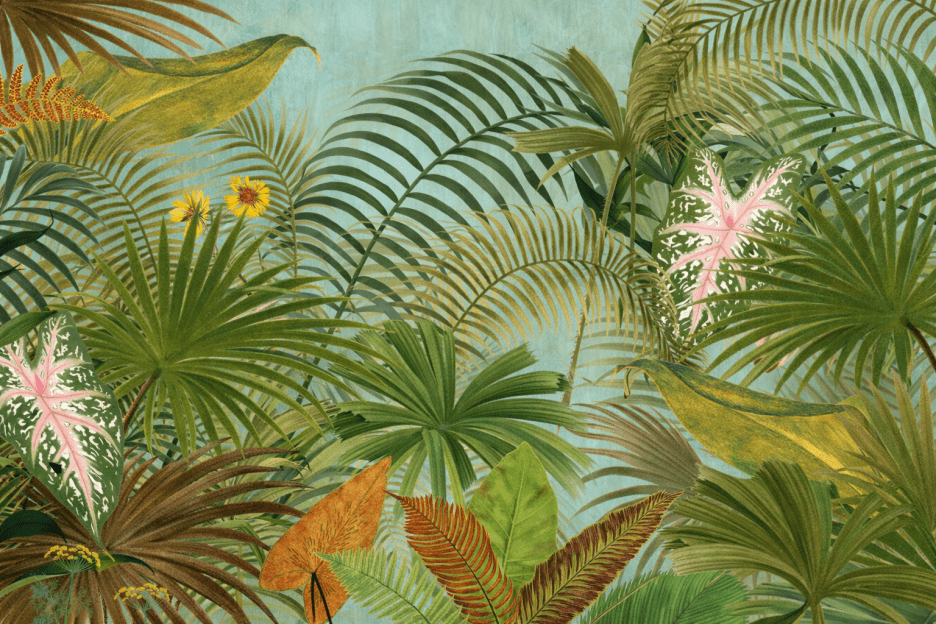 Tropical Quartz Veil