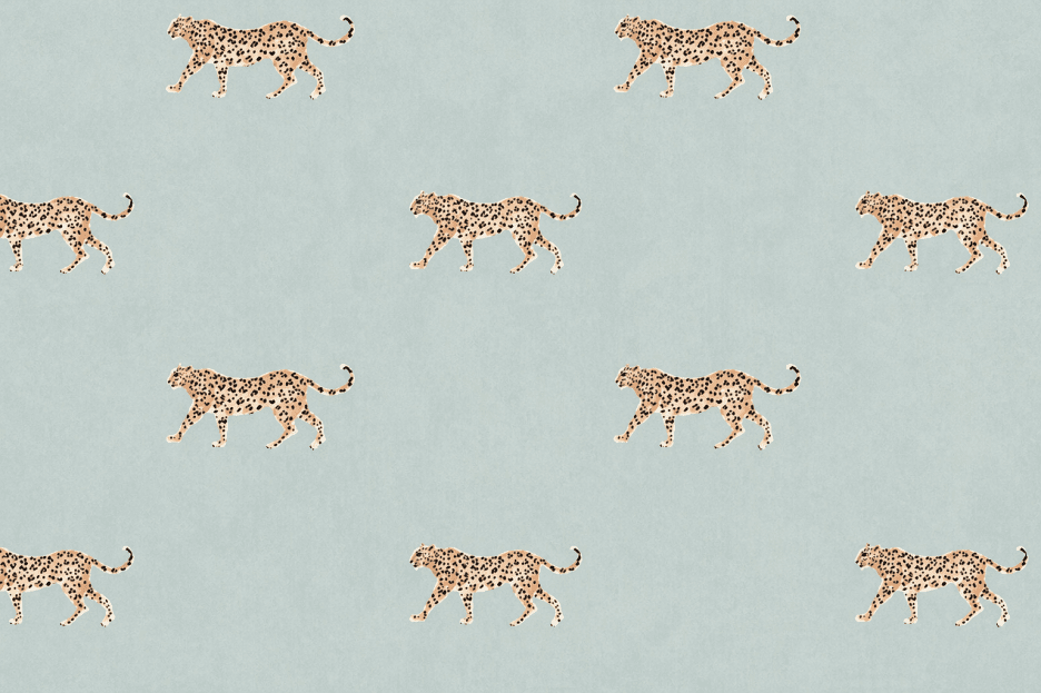 Cheetah Prowl