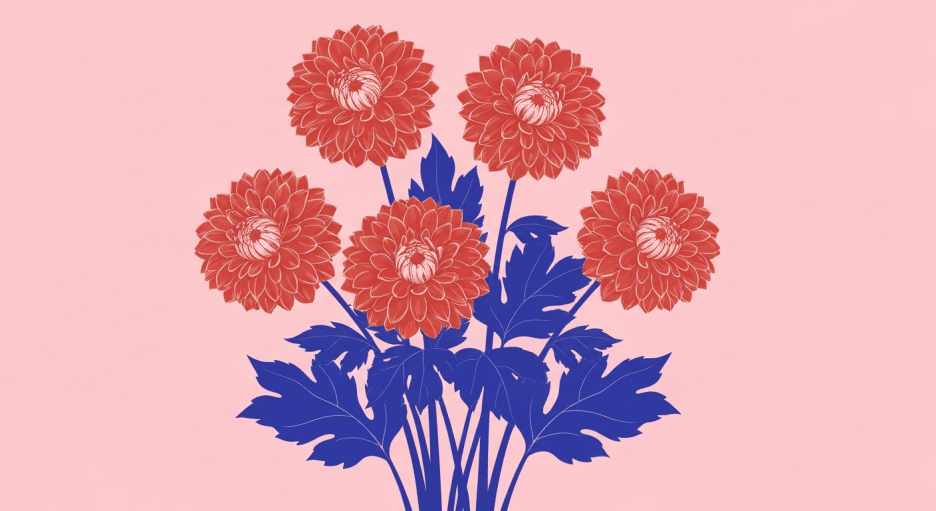 Crimson Dahlia Bouquet