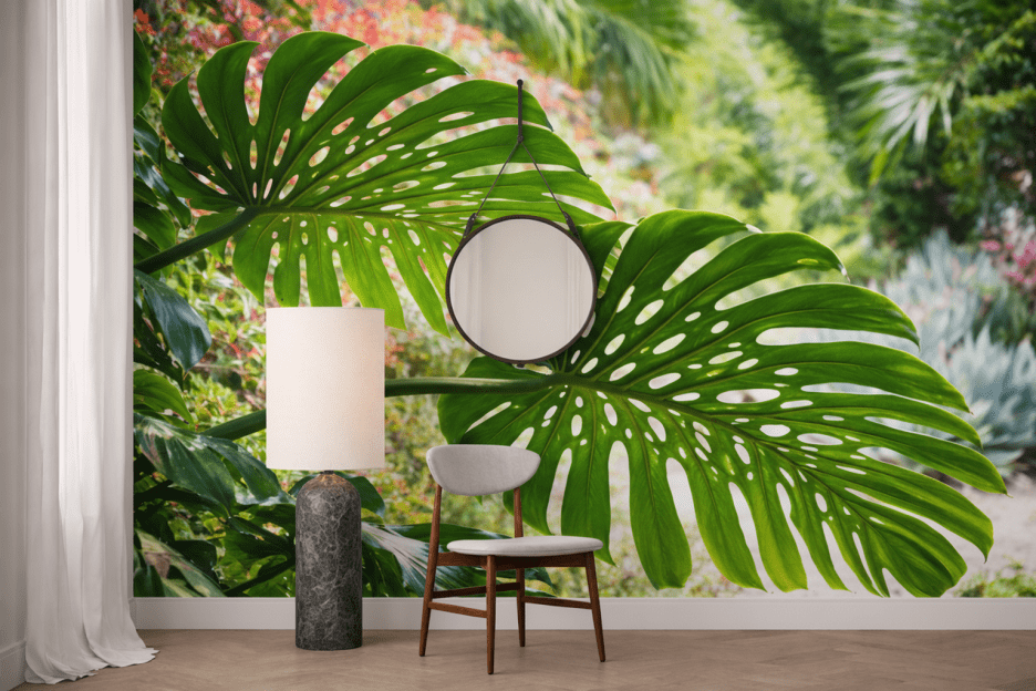 Monstera Mirage