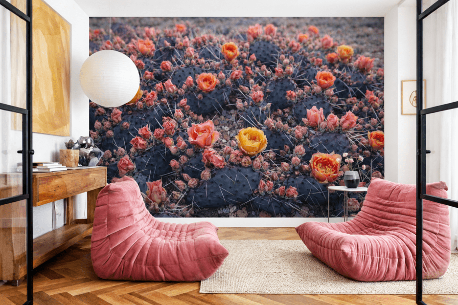 Cactus Blossom Oasis