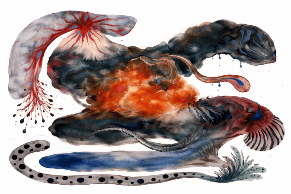 Saffron Seaforms