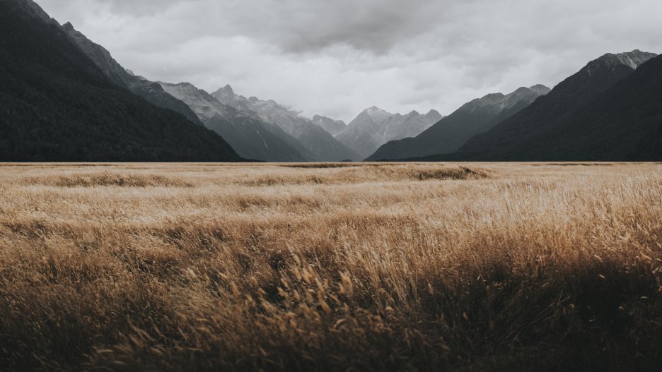 Opal Grassland