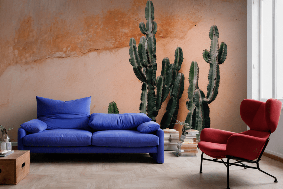 Cactus Oasis