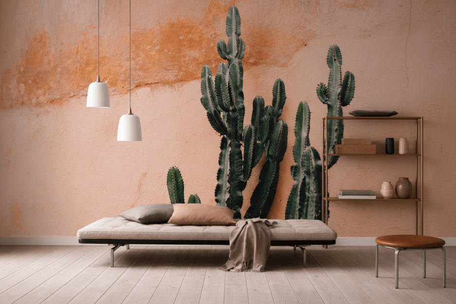 Cactus Oasis