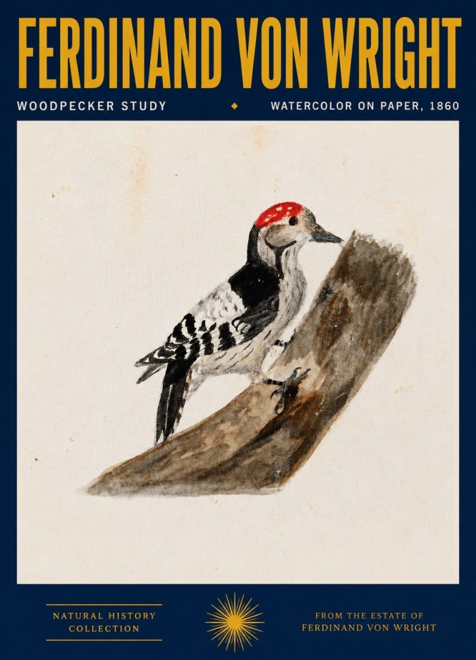 Ferdinand von Wright Woodpecker Study No4 - Affiche