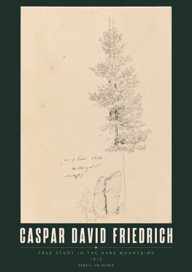 Caspar David Friedrich Tree Study in the Harz Mountains No2 - Affiche