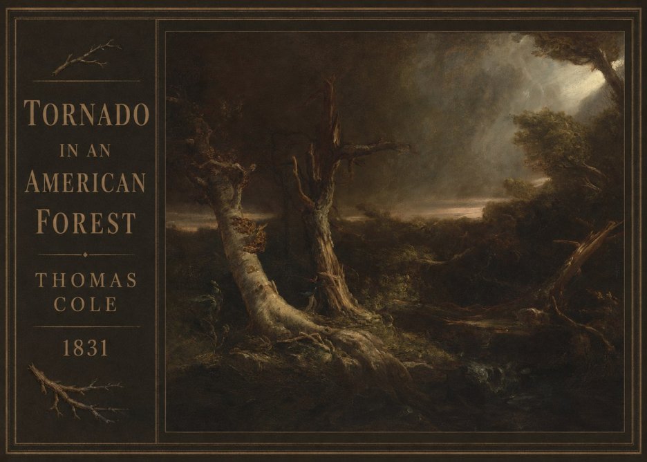 Thomas Cole Tornado in an American Forest No3 - Affiche