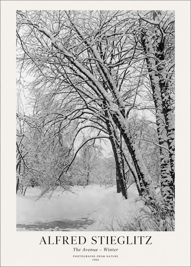 Alfred Stieglitz The Avenue – Winter No1 - Affiche