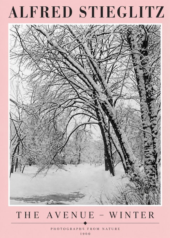 Alfred Stieglitz The Avenue – Winter No4 - Affiche