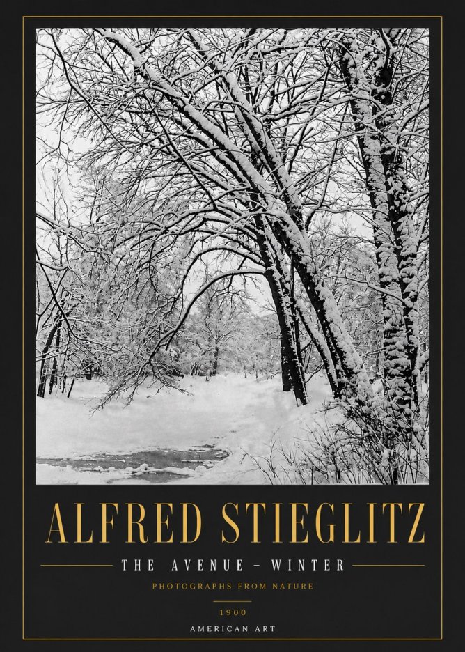 Alfred Stieglitz The Avenue – Winter No6 - Affiche