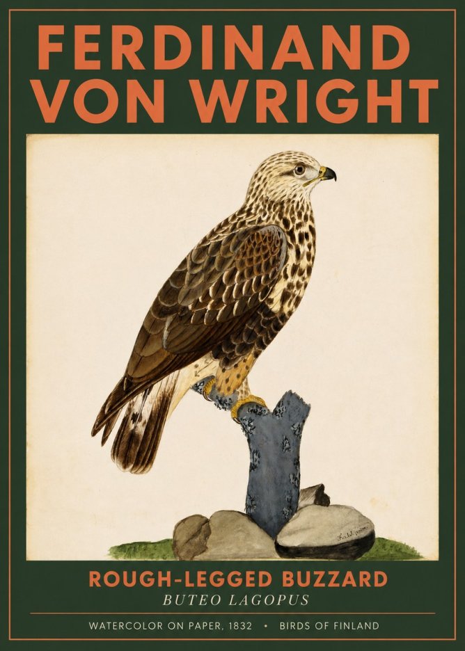 Ferdinand von Wright Rough-legged Buzzard No2 - Affiche