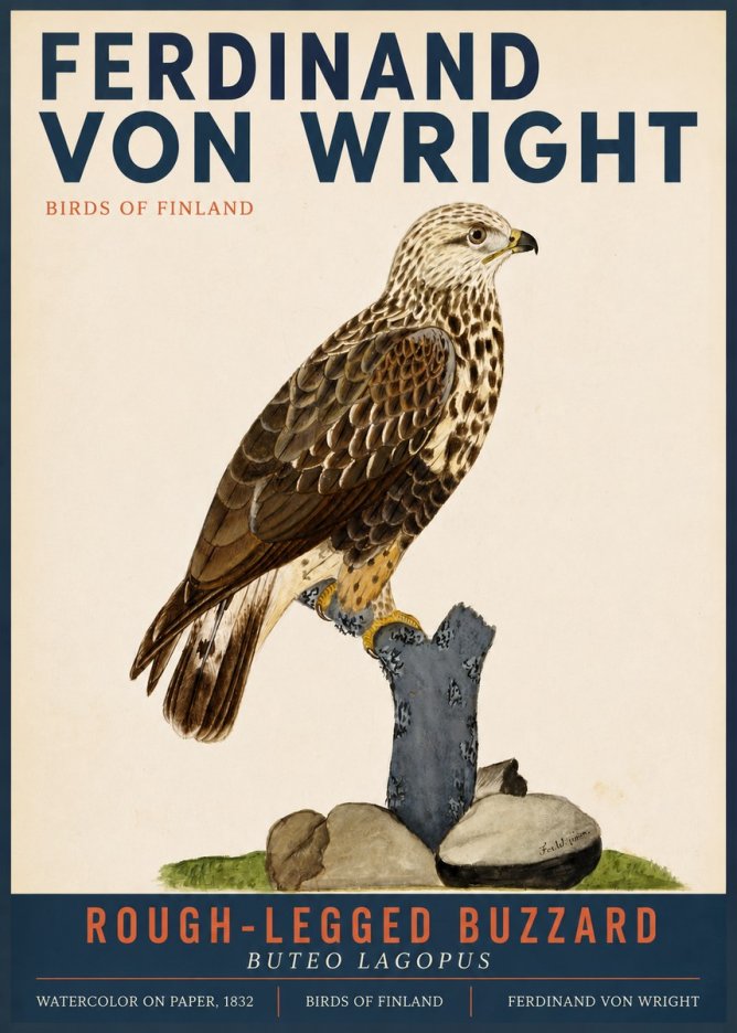 Ferdinand von Wright Rough-legged Buzzard No3 - Affiche