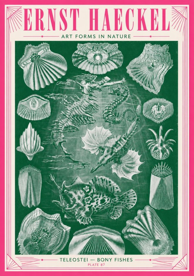 Ernst Haeckel Teleostei - Bony Fishes No3 - Affiche