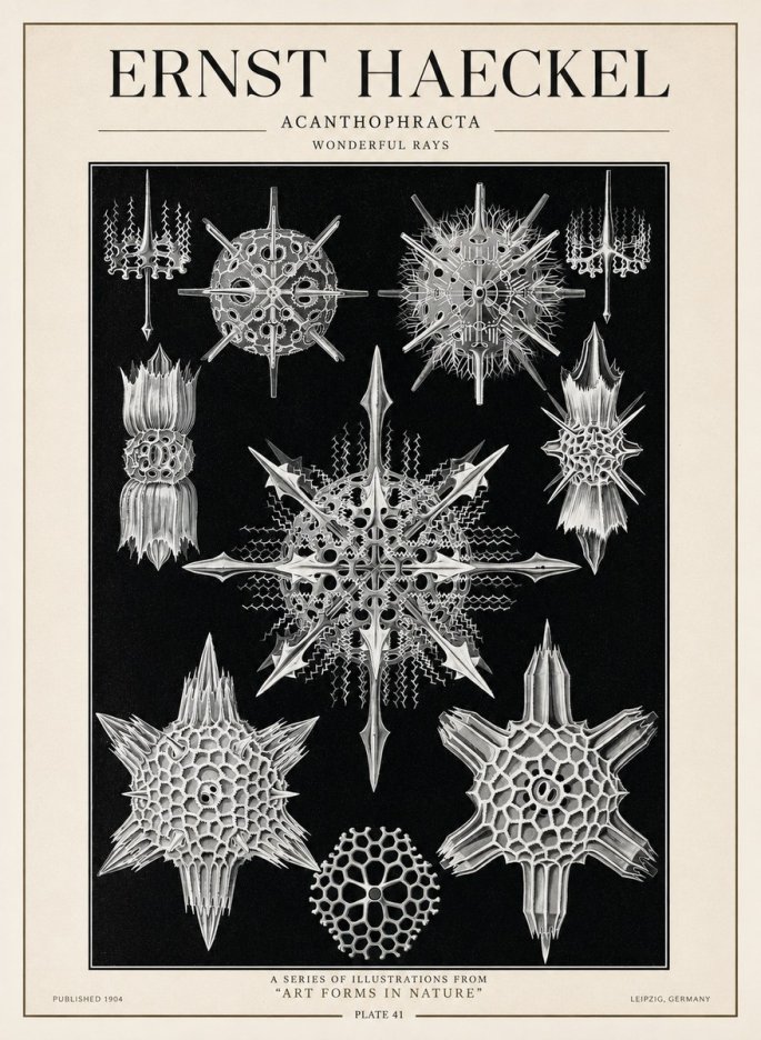 Ernst Haeckel Acanthophracta - Wonderful Rays No1 - Affiche