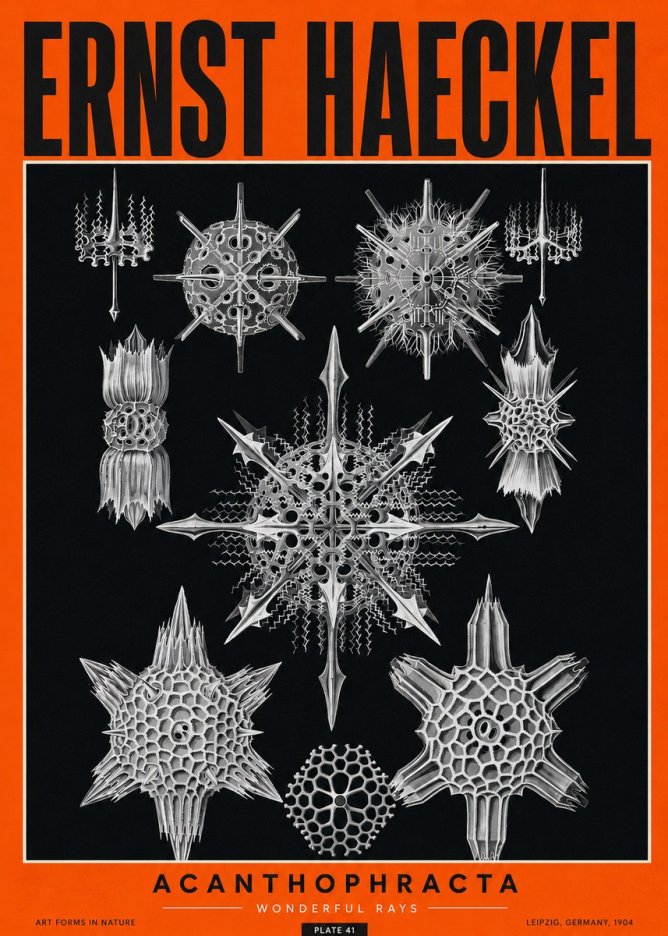 Ernst Haeckel Acanthophracta - Wonderful Rays No2 - Affiche