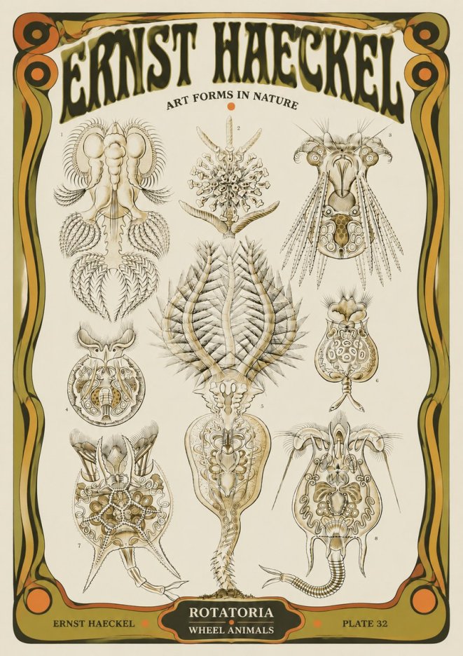 Ernst Haeckel Rotatoria - Wheel Animals No5 - Affiche