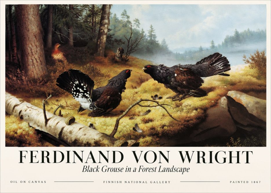 Ferdinand von Wright Black Grouse in a Forest Landscape No3 - Affiche