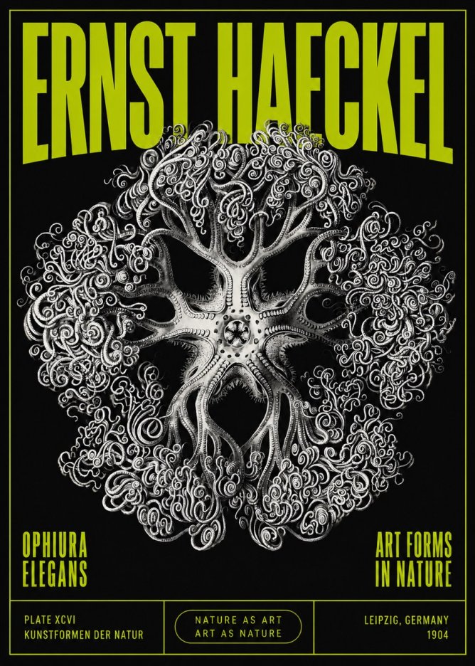 Ernst Haeckel Ophiuroidea Sea Tree - Deep Sea No5 - Affiche