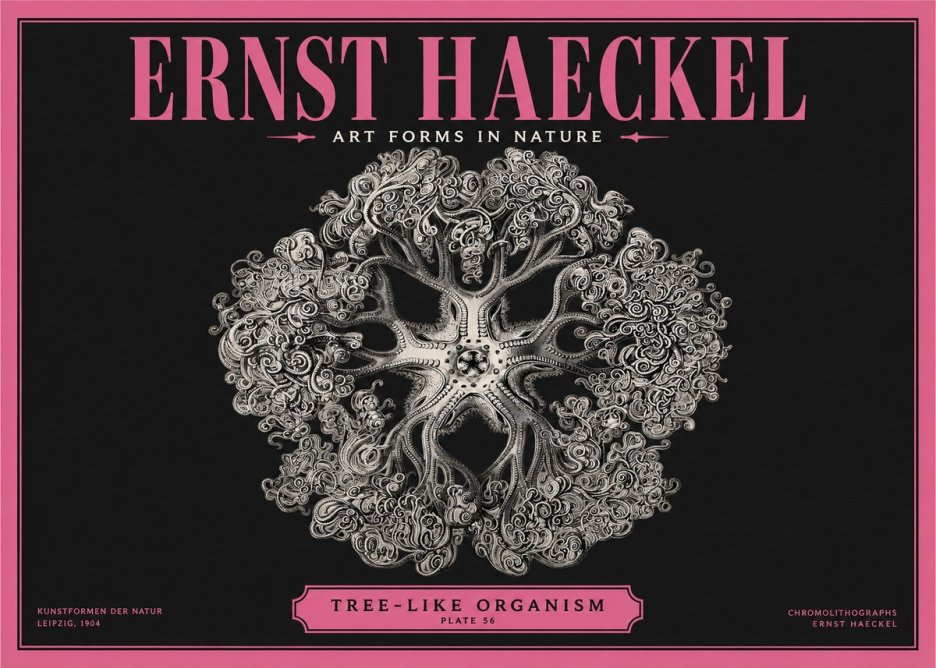 Ernst Haeckel Tree-like Organism No2 - Affiche