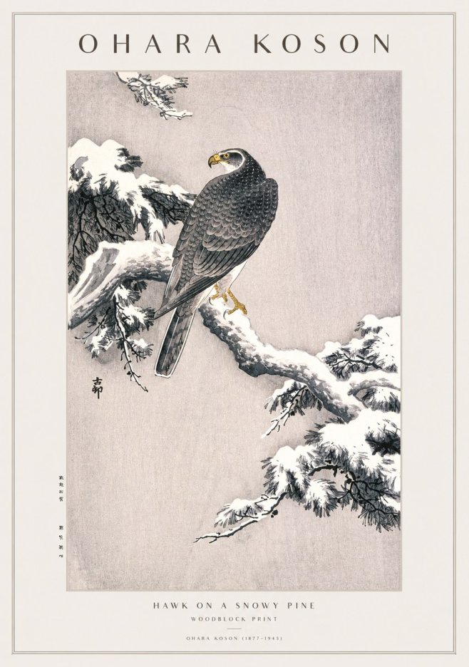 Ohara Koson Hawk on a Snowy Pine No1 - Affiche