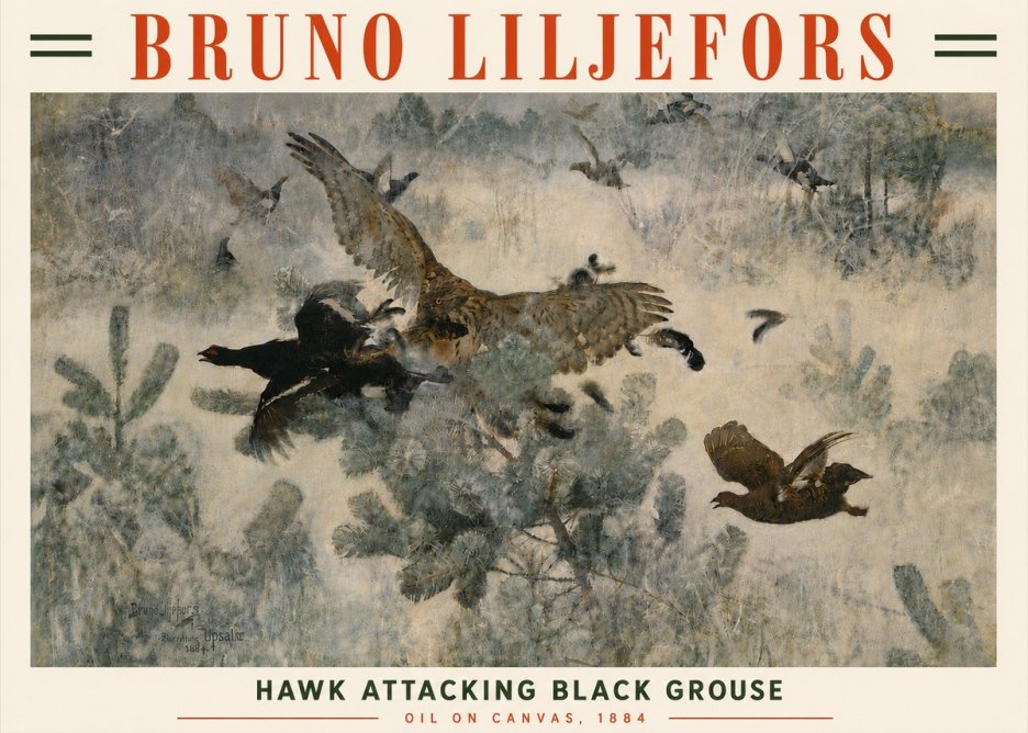 Bruno Liljefors Hawk Attacking Black Grouse No6 - Affiche