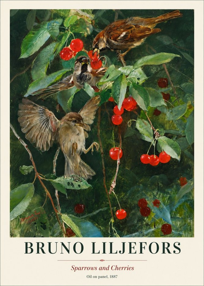 Bruno Liljefors Sparrows and Cherries No1 - Affiche