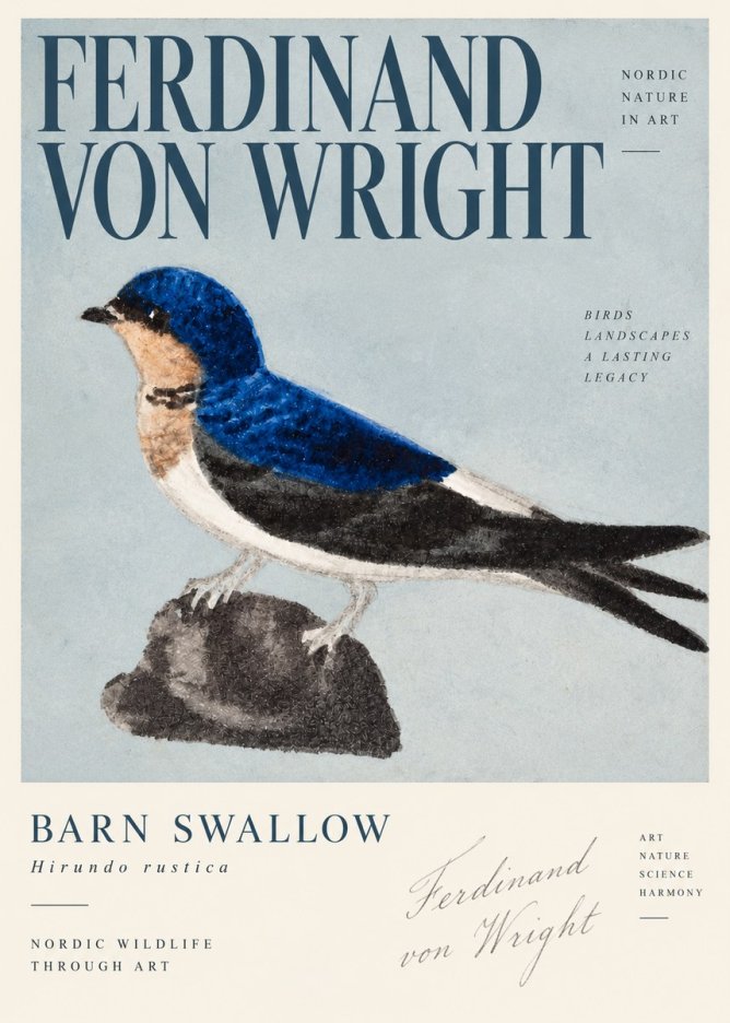Ferdinand von Wright Swallow (Hirundo Rustica) No4 - Affiche