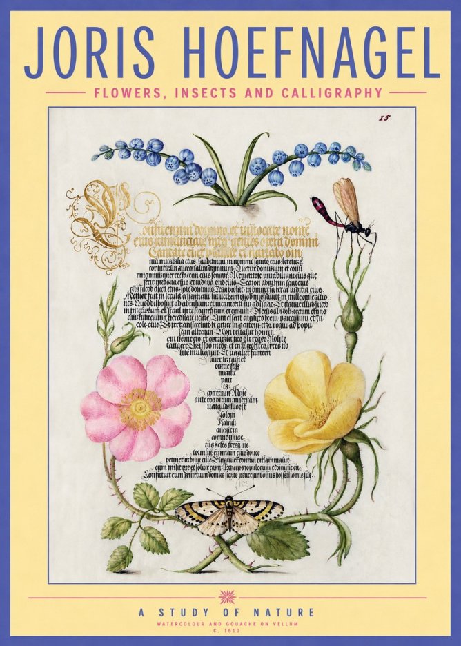 Joris Hoefnagel A Study of Nature I No3 - Affiche