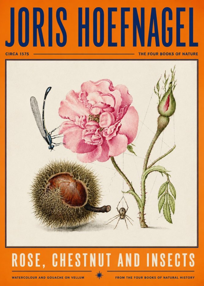 Joris Hoefnagel Rose, Chestnut and Insects No4 - Affiche