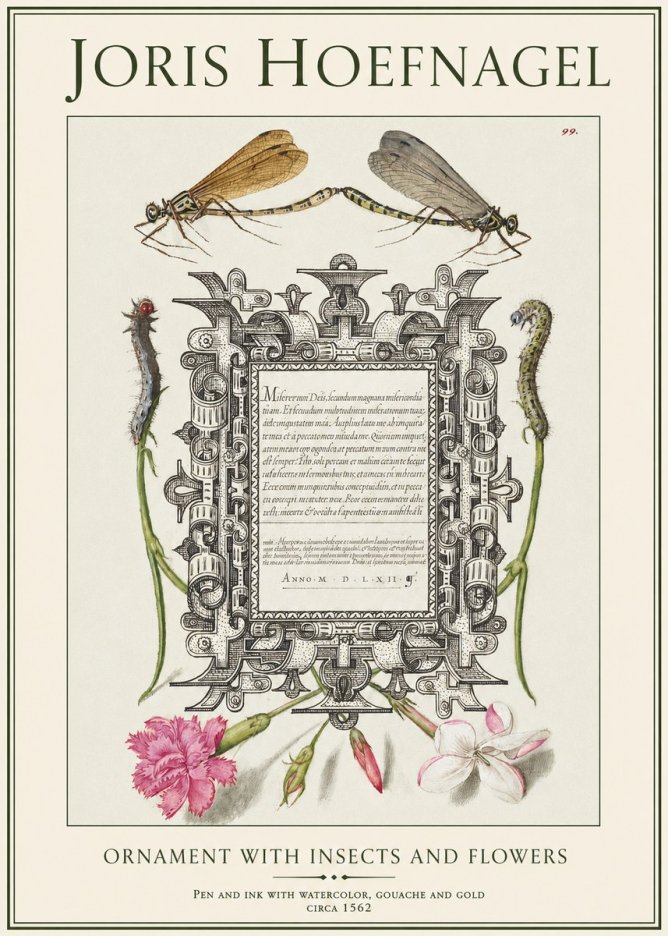 Joris Hoefnagel Ornamental Frame with Damselflies, Caterpillars and Flowers No2 - Affiche