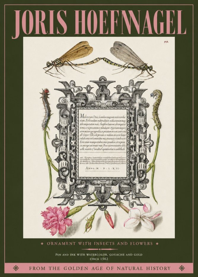 Joris Hoefnagel Ornamental Frame with Damselflies, Caterpillars and Flowers No4 - Affiche