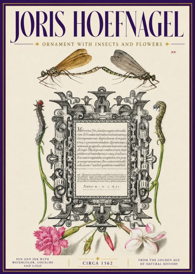 Joris Hoefnagel Ornamental Frame with Damselflies, Caterpillars and Flowers No6 - Affiche