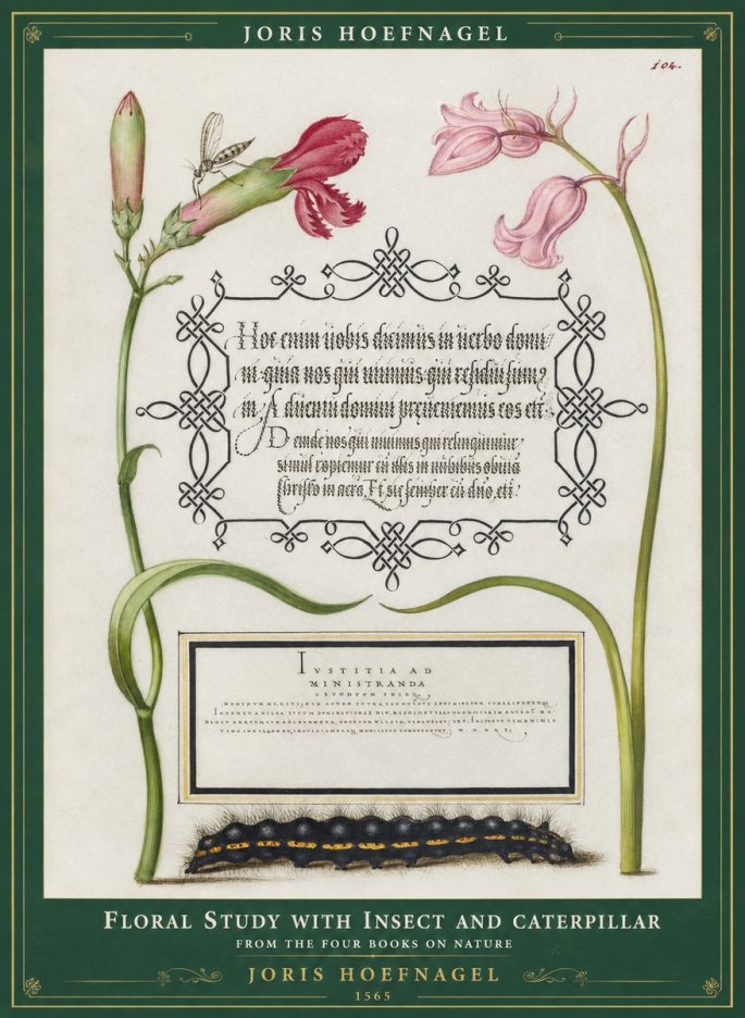 Joris Hoefnagel Floral Study with Insect and Caterpillar No1 - Affiche