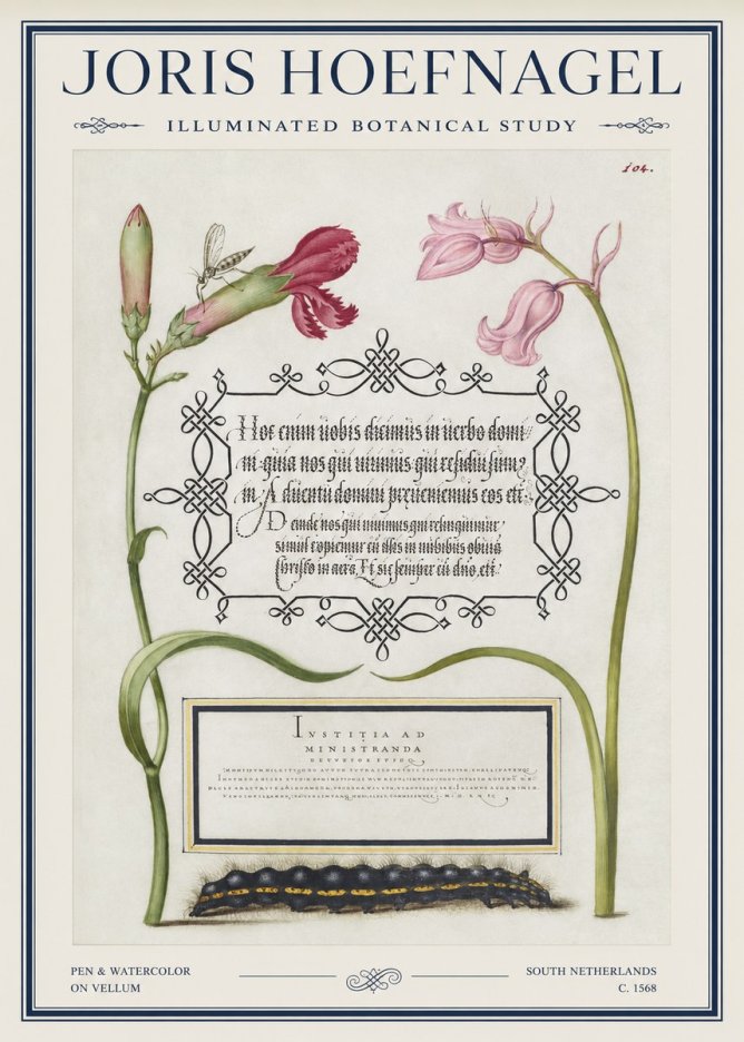 Joris Hoefnagel Floral Study with Insect and Caterpillar No5 - Affiche
