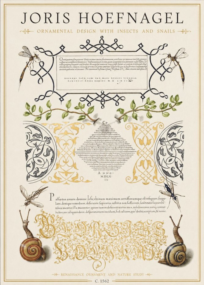 Joris Hoefnagel Memento Mori No2 - Affiche